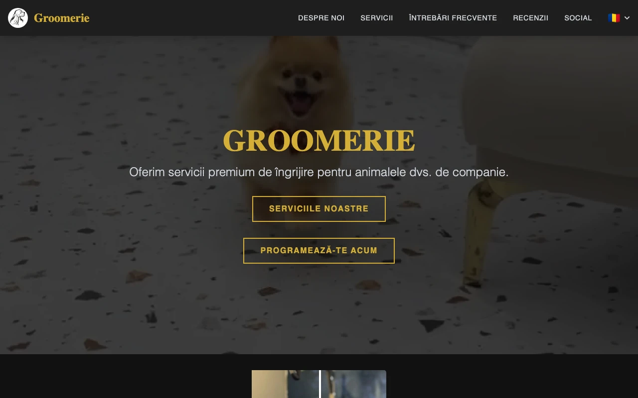 Pagina de start groomerie.ro, făcută de Animalia Studio